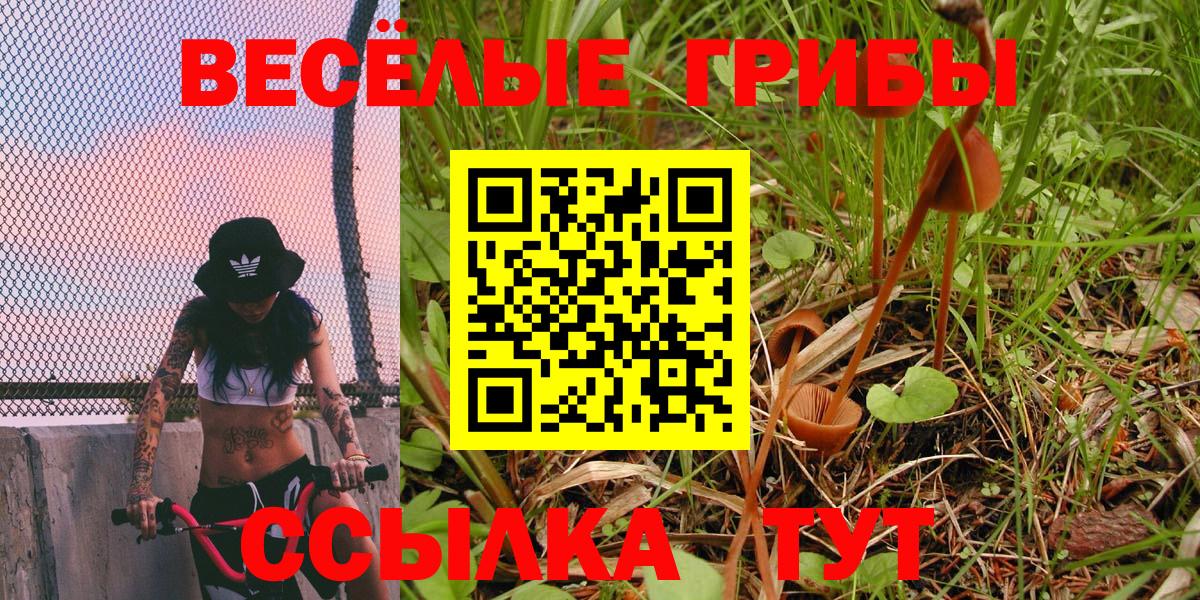купить   Галлюциногенные грибы Cubensis  Вход с VPN  Псилоцибиновые грибы прущие грибы  Ялуторовск 